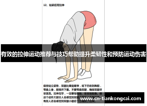 有效的拉伸运动推荐与技巧帮助提升柔韧性和预防运动伤害
