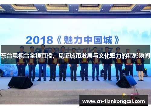东台电视台全程直播，见证城市发展与文化魅力的精彩瞬间